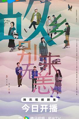 柳南seo优化公司